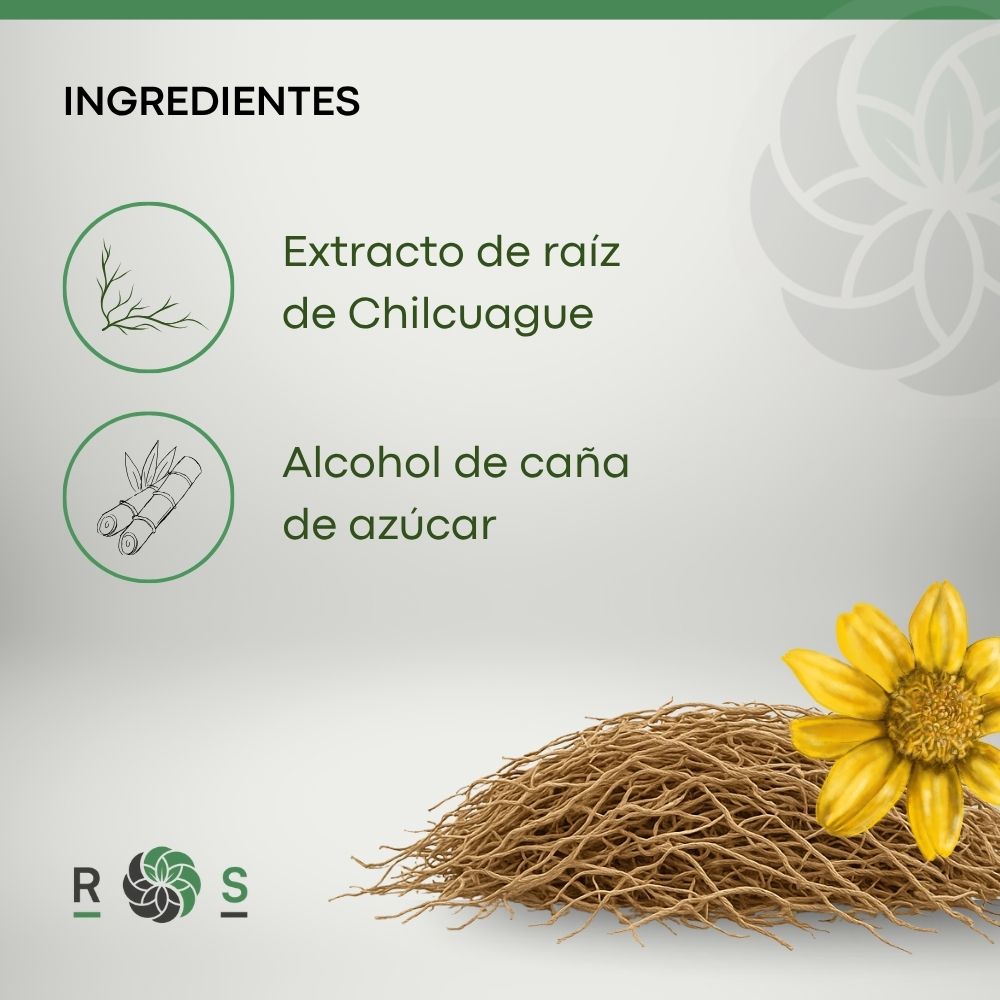 Extracto Natural de Chilcuague Concentrado 65 ml - Vista 3 - Raíz Selvas