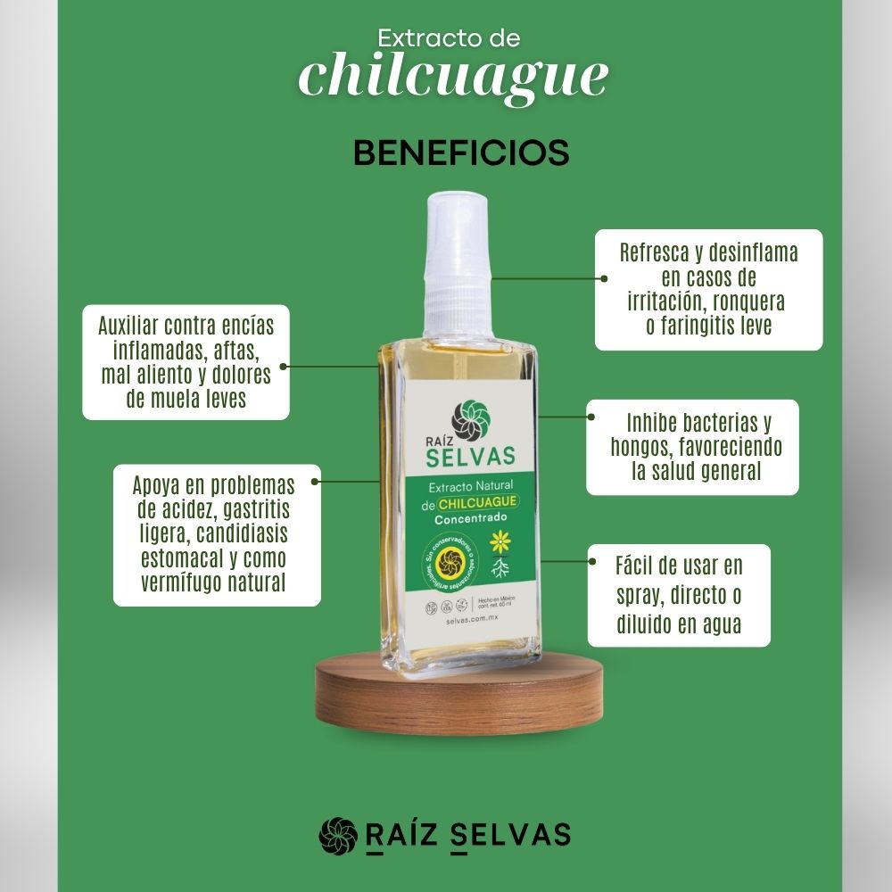 Extracto Natural de Chilcuague Concentrado 65 ml - Vista 4 - Raíz Selvas