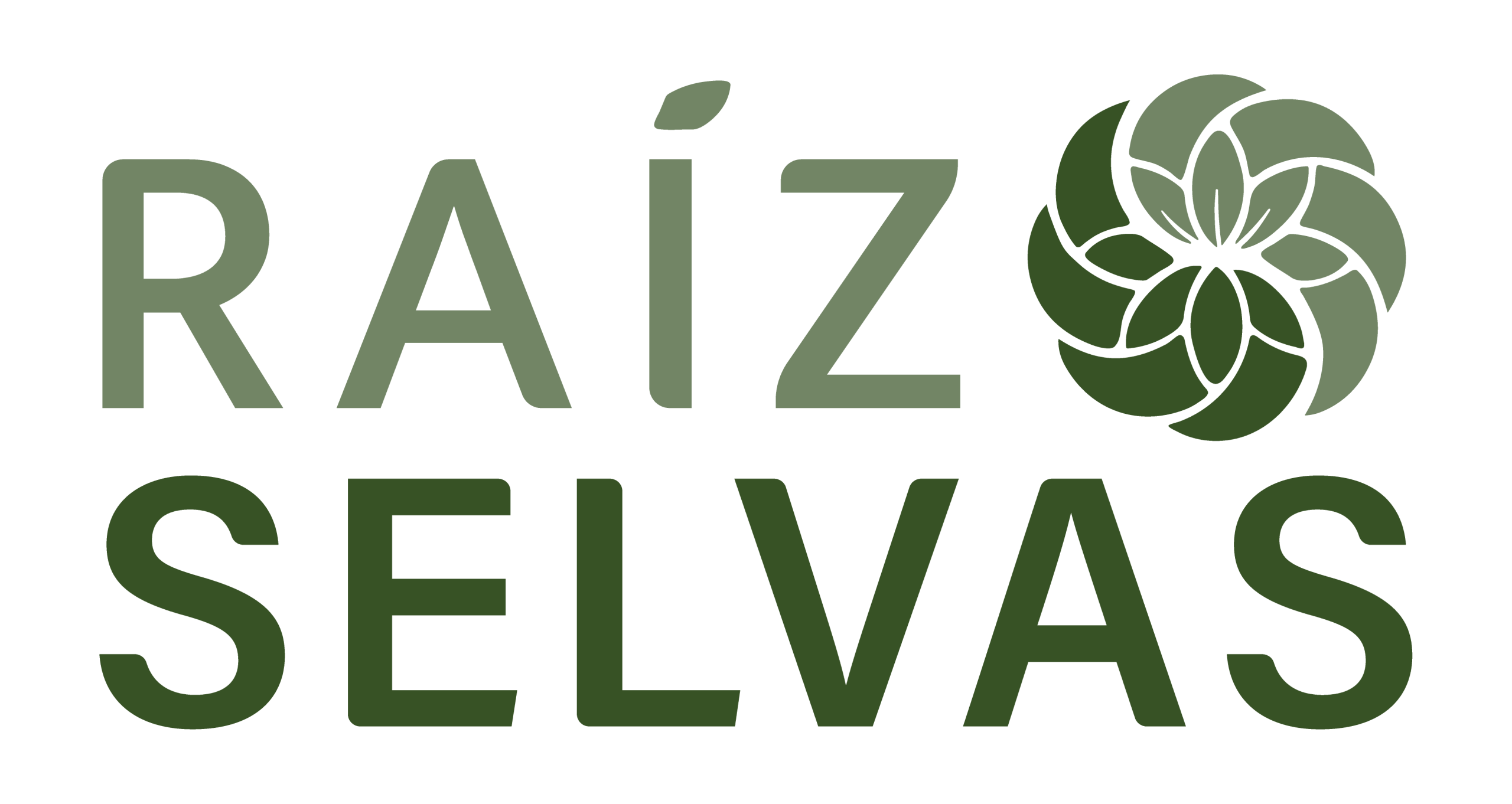 Logo Raíz Selvas - Cosmética Natural