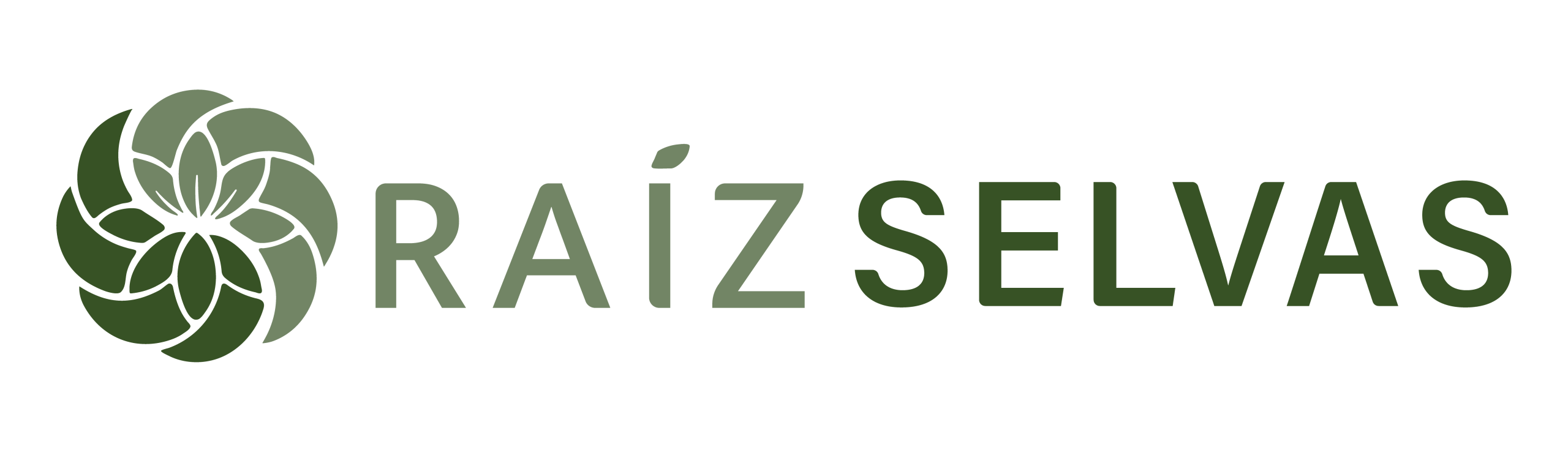 Logo Raíz Selvas - Cosmética Natural
