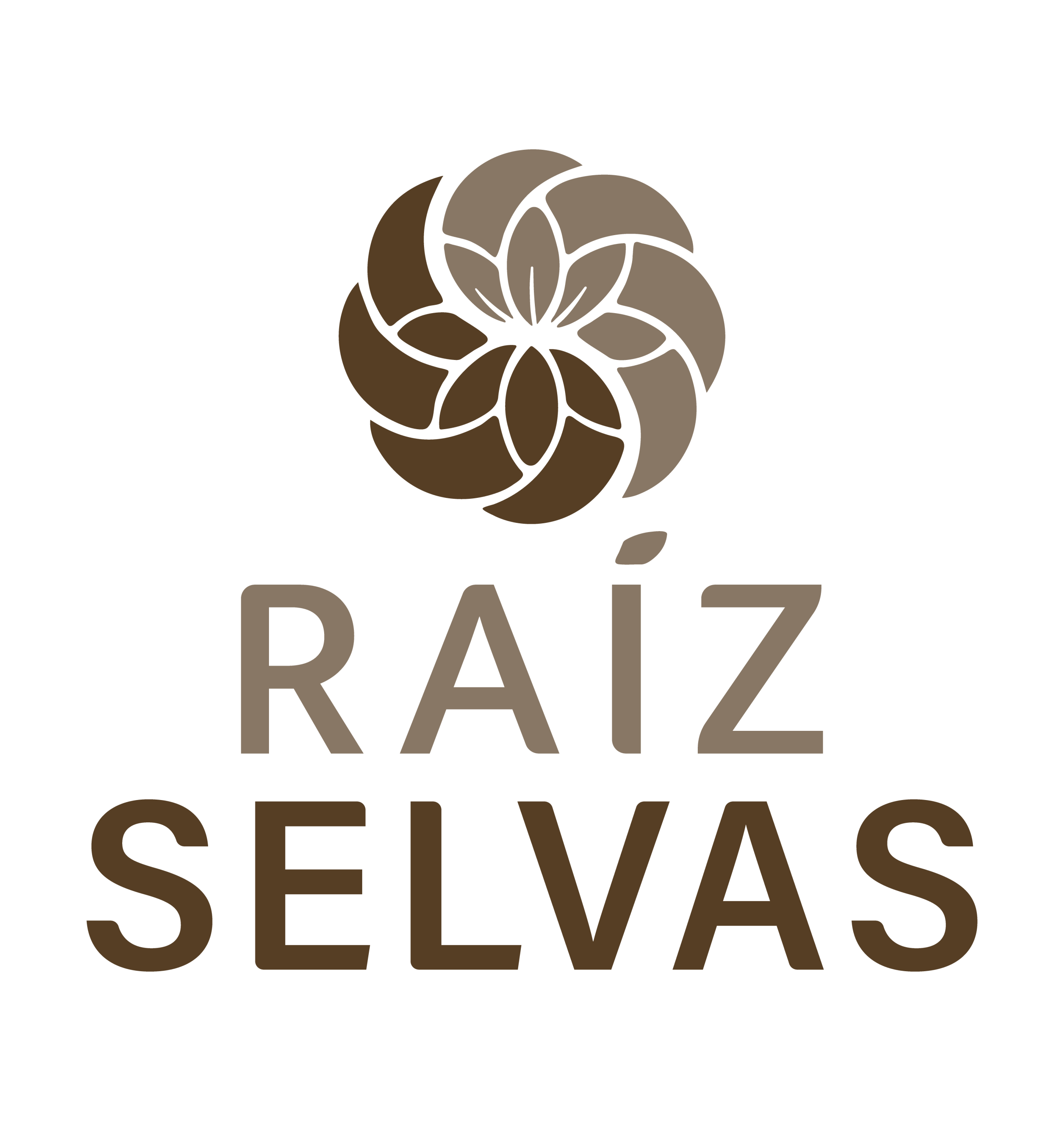 Logotipo Raíz Selvas, variante 53 de identidad visual