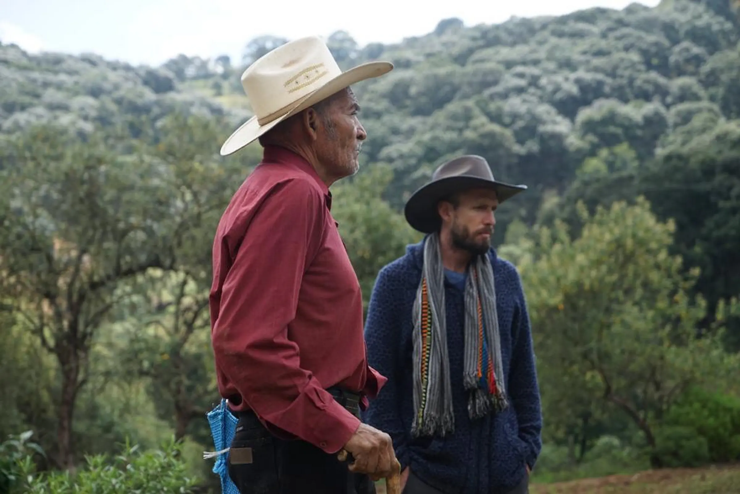 Comunidad y tradición herbolaria mexicana